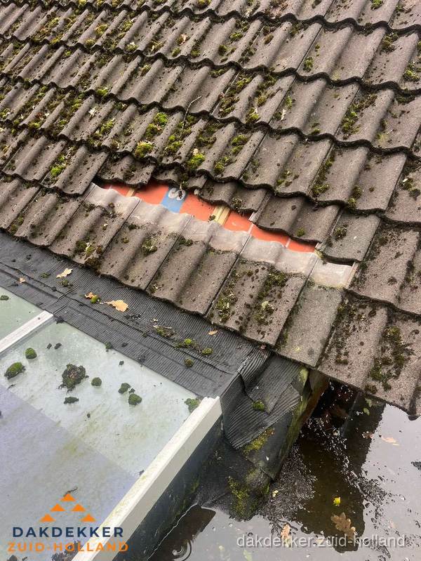 Beschadigd pannendak met ontbrekende dakpannen voor reparatie in Zuid-Holland Beschadigd pannendak met ontbrekende dakpannen voor reparatie in Zuid-Holland